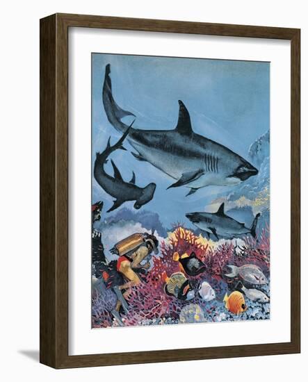 Sharks-G. W Backhouse-Framed Giclee Print