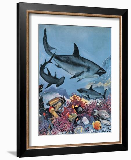 Sharks-G. W Backhouse-Framed Giclee Print