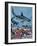 Sharks-G. W Backhouse-Framed Giclee Print