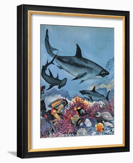 Sharks-G. W Backhouse-Framed Giclee Print