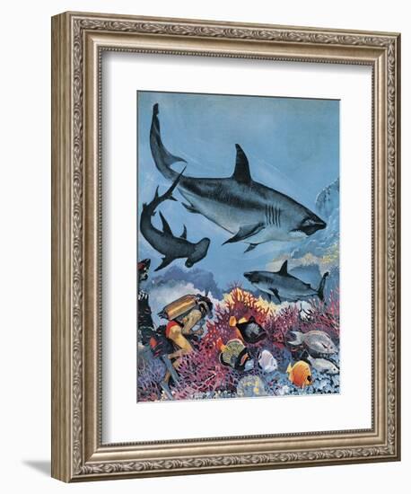 Sharks-G. W Backhouse-Framed Giclee Print