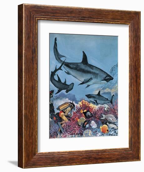 Sharks-G. W Backhouse-Framed Giclee Print