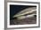 Sharksucker on Turtle (Echeneis Naucrates), Marsa Alam, Red Sea, Egypt-Reinhard Dirscherl-Framed Photographic Print