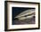 Sharksucker on Turtle (Echeneis Naucrates), Marsa Alam, Red Sea, Egypt-Reinhard Dirscherl-Framed Photographic Print