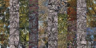Autumn Mosaic-Sharon Elphick-Giclee Print