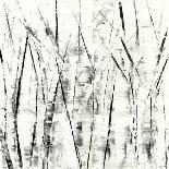 Birches II-Sharon Gordon-Art Print