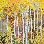 Autumn Birches III-Sharon Pitts-Giclee Print