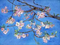 Cherry Blossoms-Sharon Pitts-Giclee Print
