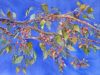 Cherry Blossoms-Sharon Pitts-Giclee Print