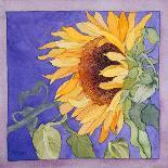 Sunflowers VI-Sharon Pitts-Giclee Print