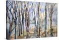 Stretched Canvas Print