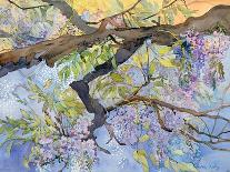 Wisteria, Van Vleck-Sharon Pitts-Giclee Print