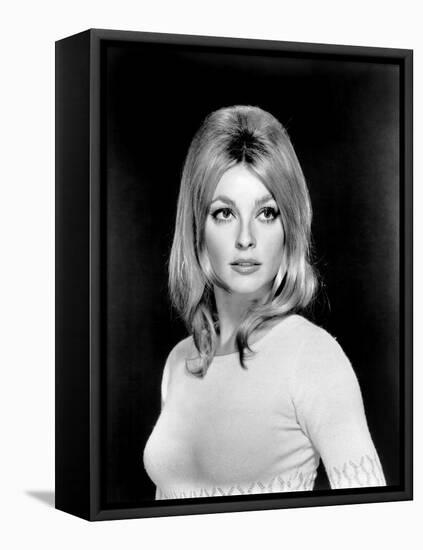 Sharon Tate, 1966-null-Framed Stretched Canvas