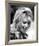 Sharon Tate-null-Framed Photo