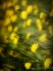Premium Photographic Print