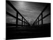 Premium Photographic Print