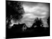Photographic Print