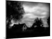 Photographic Print