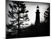 Premium Photographic Print