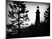 Photographic Print