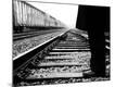 Premium Photographic Print