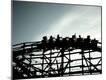 Photographic Print
