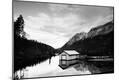 Photographic Print