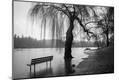 Photographic Print