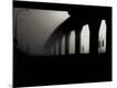 Premium Photographic Print