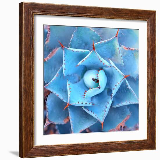 Sharp Pointed Agave Plant Leaves-asharkyu-Framed Photographic Print