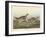 Sharp-tailed Grous, 1837-John James Audubon-Framed Giclee Print