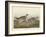 Sharp-tailed Grous, 1837-John James Audubon-Framed Giclee Print