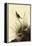 Sharp-Tailed Sparrows-John James Audubon-Framed Premier Image Canvas