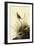 Sharp-Tailed Sparrows-John James Audubon-Framed Giclee Print