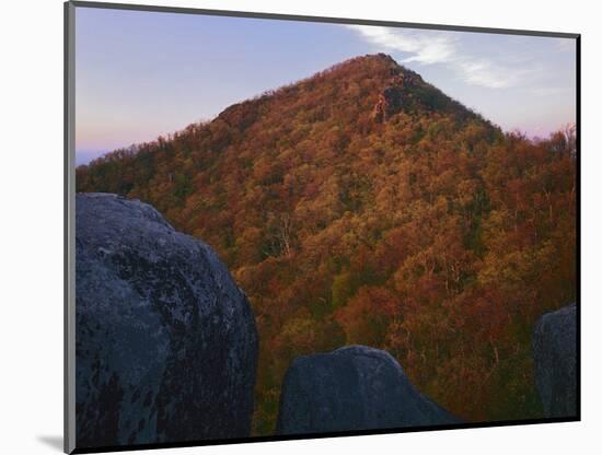 Sharp Top Mountain, Blue Ridge Parkway, Virginia, USA-Charles Gurche-Mounted Photographic Print