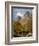 Sharpitor Rocks, C.1880-William Widgery-Framed Giclee Print