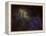 Sharpless 2-132 Emission Nebula-Stocktrek Images-Framed Premier Image Canvas