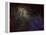 Sharpless 2-132 Emission Nebula-Stocktrek Images-Framed Premier Image Canvas