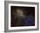 Sharpless 2-132 Emission Nebula-Stocktrek Images-Framed Photographic Print