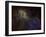 Sharpless 2-132 Emission Nebula-Stocktrek Images-Framed Photographic Print