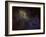 Sharpless 2-132 Emission Nebula-Stocktrek Images-Framed Photographic Print