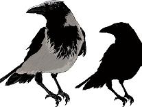 Black Crows-sharpner-Mounted Art Print