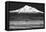 Shasta County Spring BW-Douglas Taylor-Framed Stretched Canvas