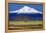 Shasta County Spring-Douglas Taylor-Framed Stretched Canvas