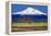 Shasta County Spring-Douglas Taylor-Framed Stretched Canvas