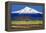 Shasta County Spring-Douglas Taylor-Framed Stretched Canvas