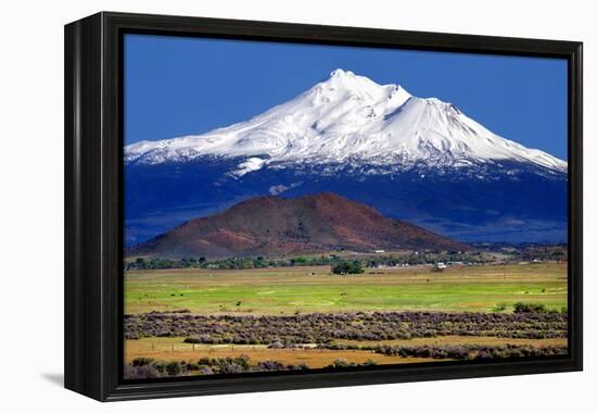 Shasta County Spring-Douglas Taylor-Framed Stretched Canvas