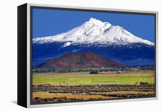 Shasta County Spring-Douglas Taylor-Framed Stretched Canvas