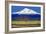 Shasta County Spring-Douglas Taylor-Framed Photo