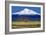 Shasta County Spring-Douglas Taylor-Framed Photo